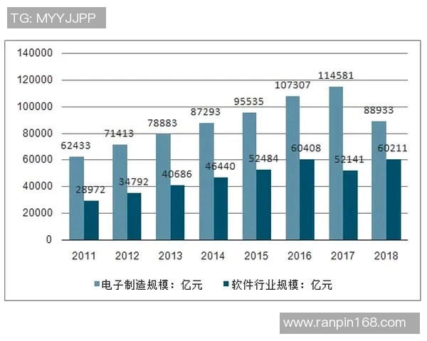 重庆排球队运营模式解析与发展前景探讨